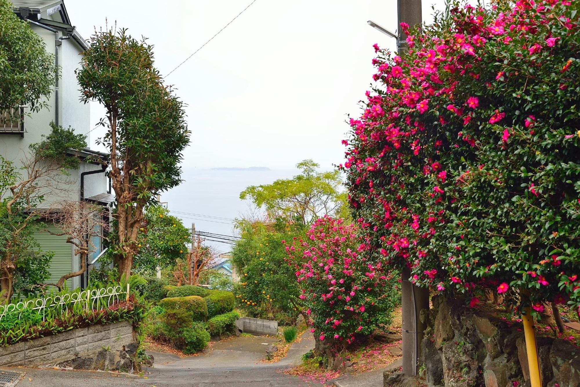 Holiday House 川奈 Ito  Exterior foto